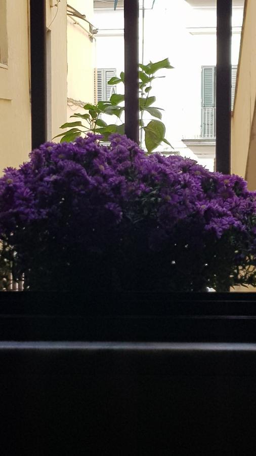 Appartement Il Giardino Sul Corso à Scafati Extérieur photo