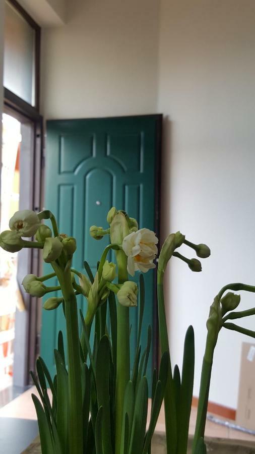 Appartement Il Giardino Sul Corso à Scafati Extérieur photo