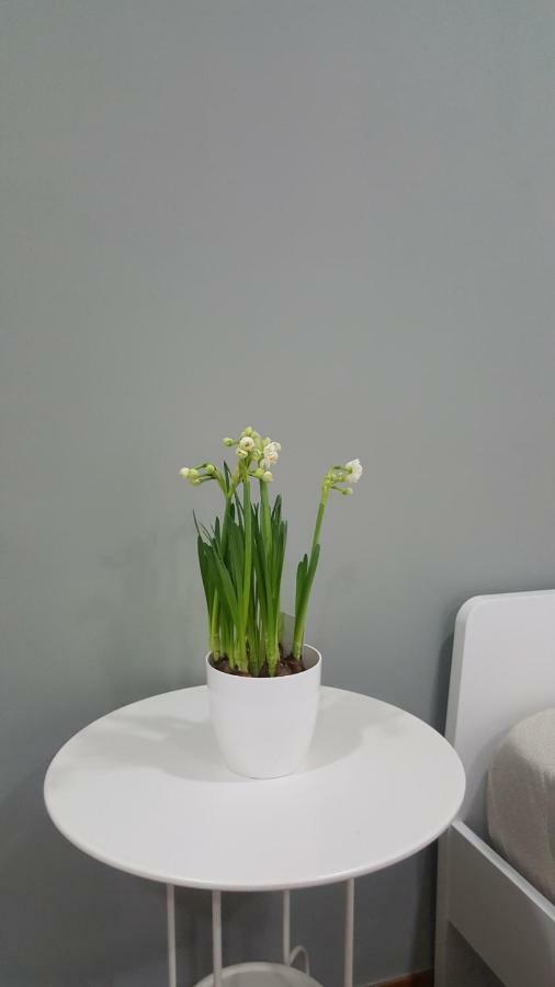 Appartement Il Giardino Sul Corso à Scafati Extérieur photo